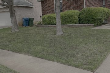 Top Dressing Lawn and Soil
