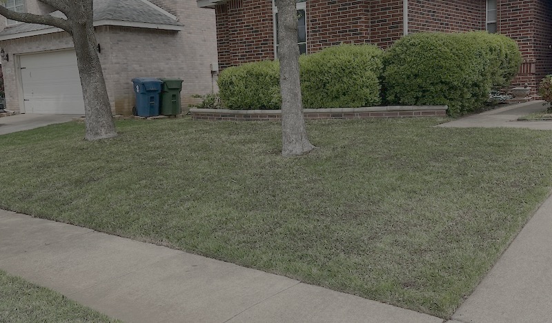 Top Dressing Lawn and Soil