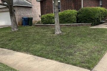 Lawn and Soil